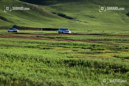 Бэлчээрийн ургамлын ургалт нийт нутгийн 50 хувьд хэвийн байна